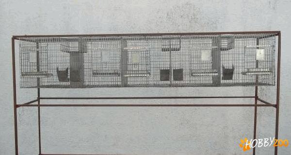Custi pentru chinchilla 